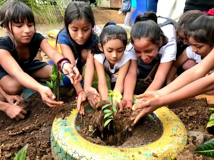 Escolares y docentes plantan árboles en Tingo María