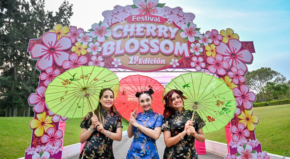 El Cherry Blossom en el Circuito Mágico del Agua no es solo un evento, es un pacto entre la ciudad y sus ciudadanos para tejer recuerdos duraderos en el lienzo efímero de la vida.