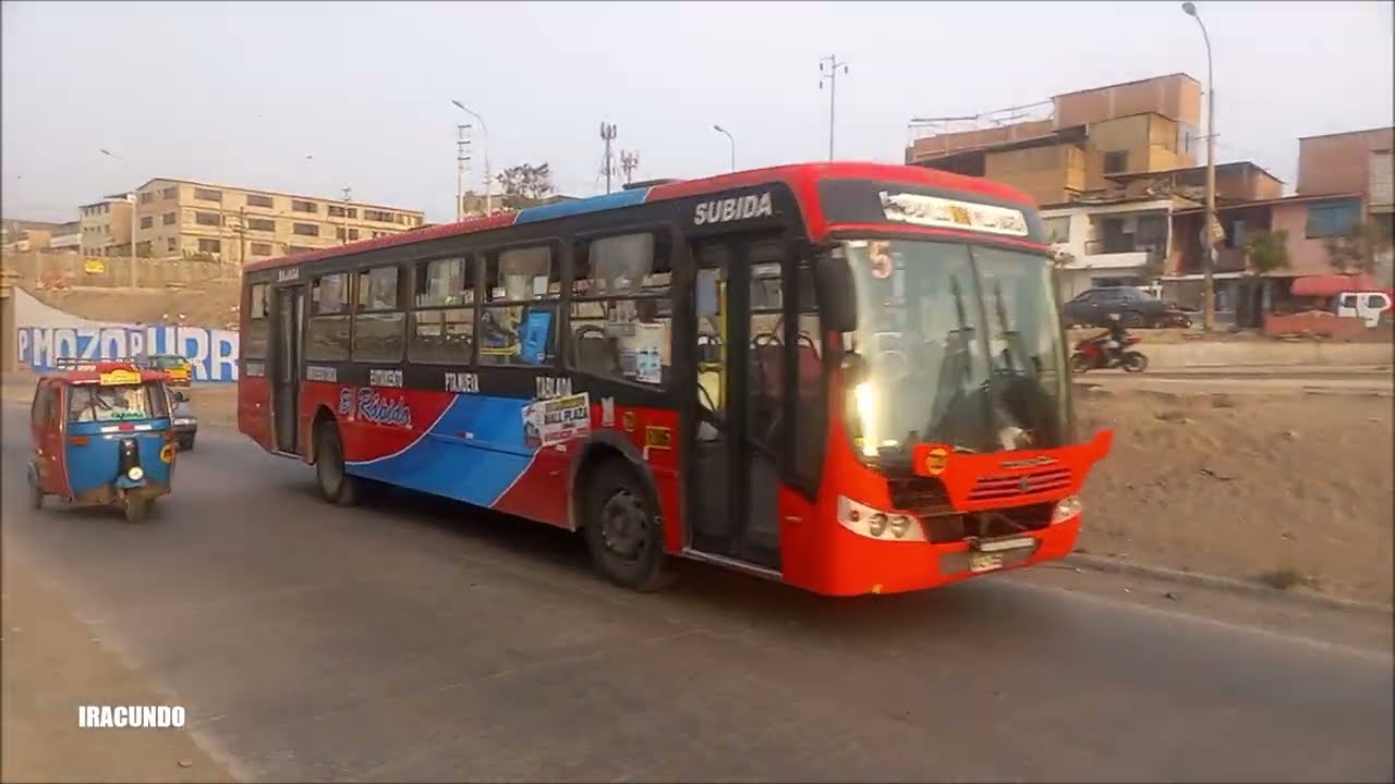 Public transport bus suffers violent theft in San Martín de Porres