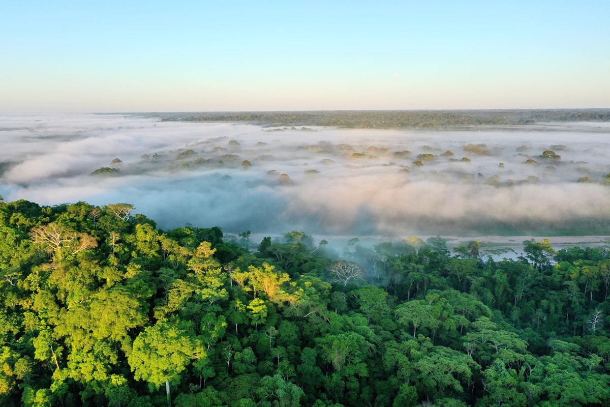 37. Nubes en el bosque – Sector alto del Rio Curanja – Purús – Ucayali© Edson Aragón – FZS Perú