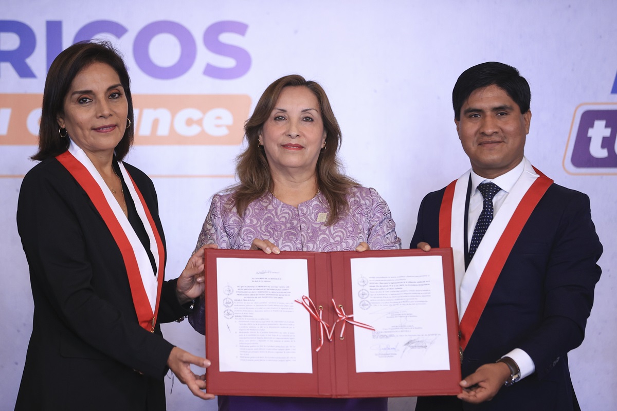 dina boluarte y congresistas