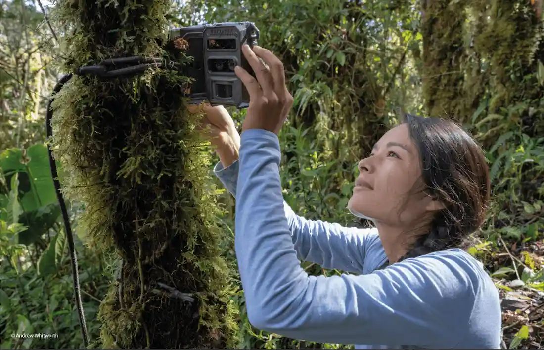 e935aa4c-f6d2-4a0a-8e71-6425b1942b6e