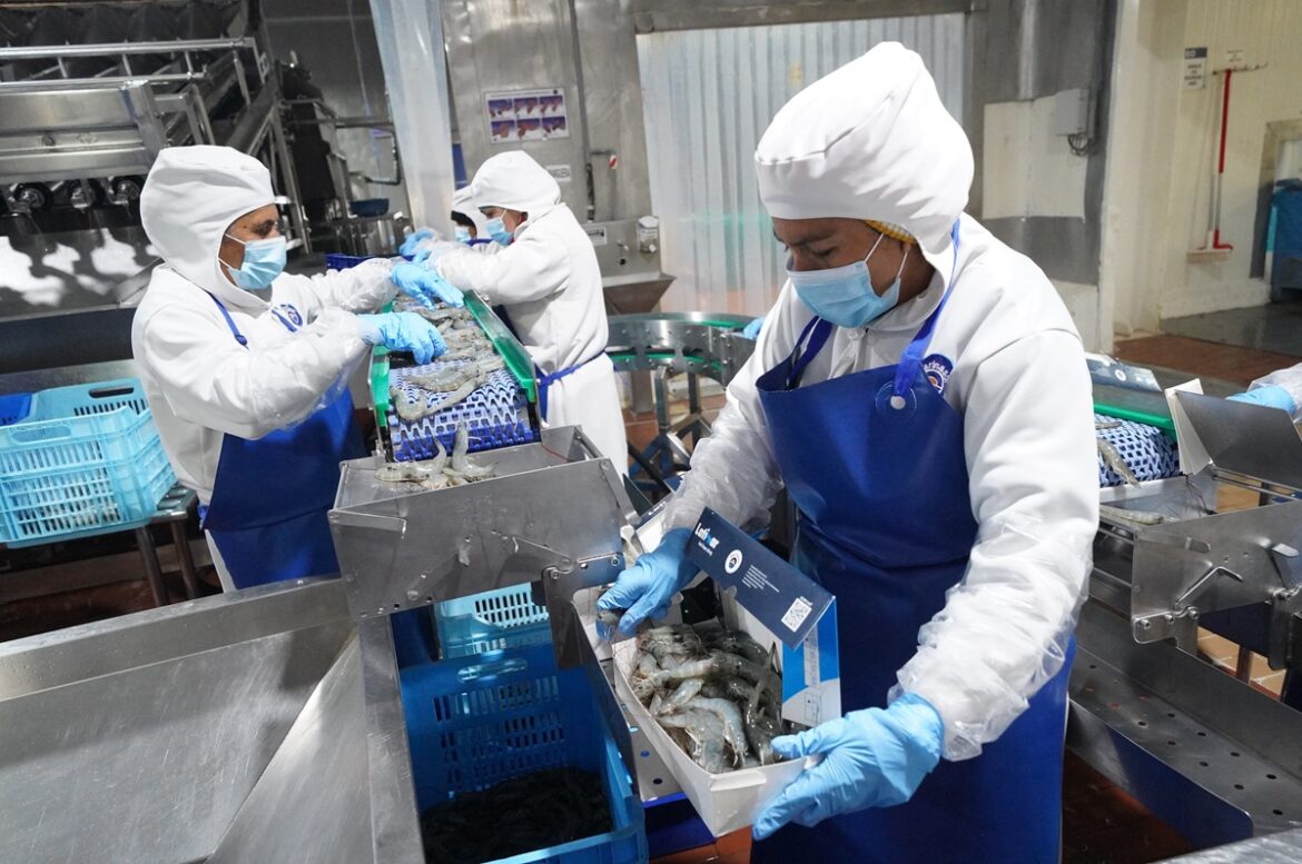 981211-produce-amplia-hasta-el-30-de-diciembre-plazo-para-adecuar-infraestructuras-al-reglamento-sectorial-de-inocuidad-para-actividades-pesqueras