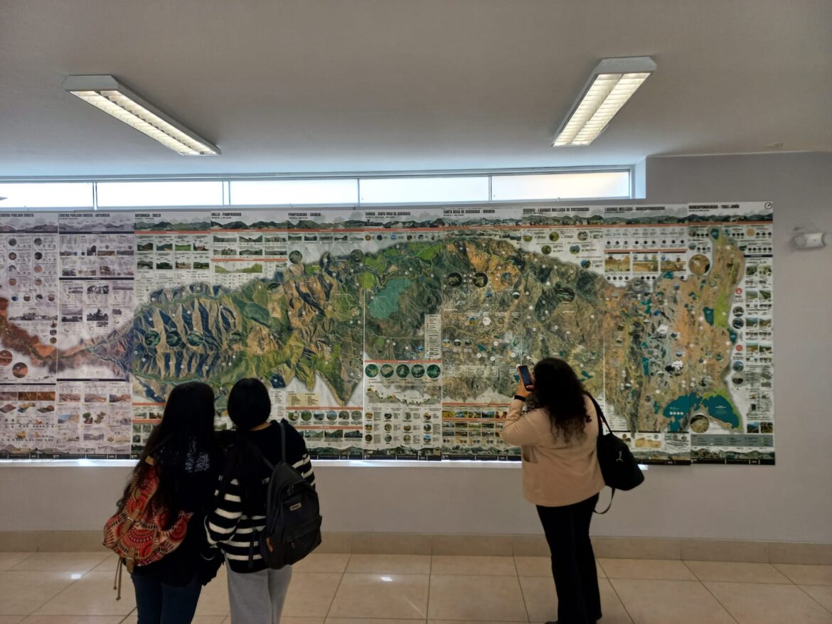 Cristina Dreifuss. Arquitectura.