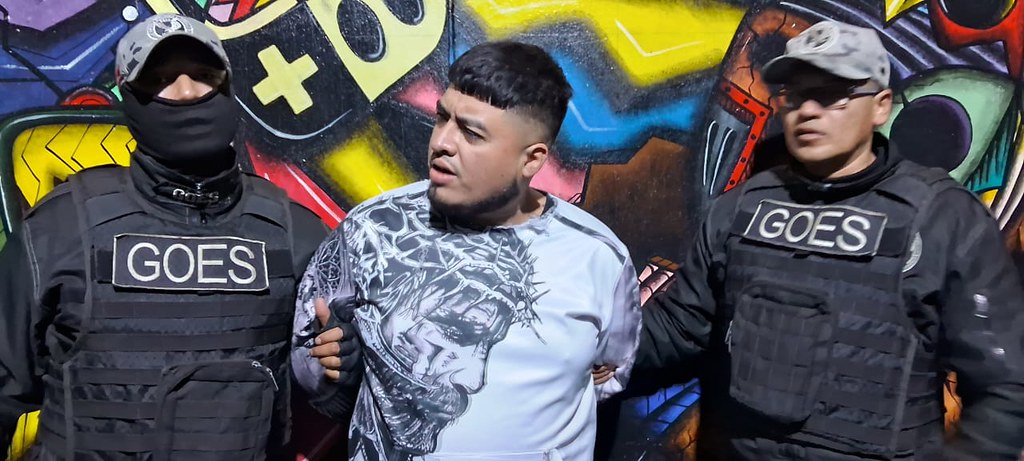 54006600443_cff6c52868_b