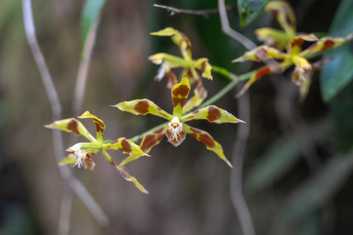 6d3de08d-ab55-482e-a4c1-efad8fed14cd