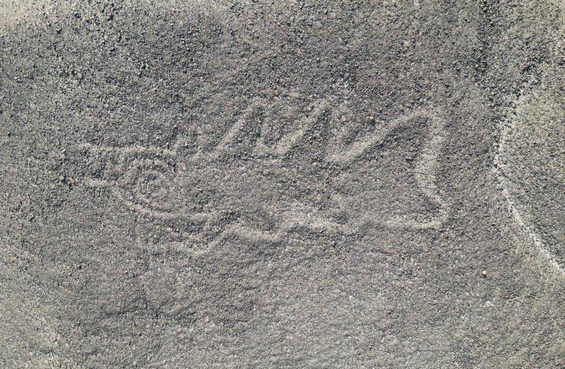 "303 new geoglyphs discovered in Nazca thanks to artificial intelligence."