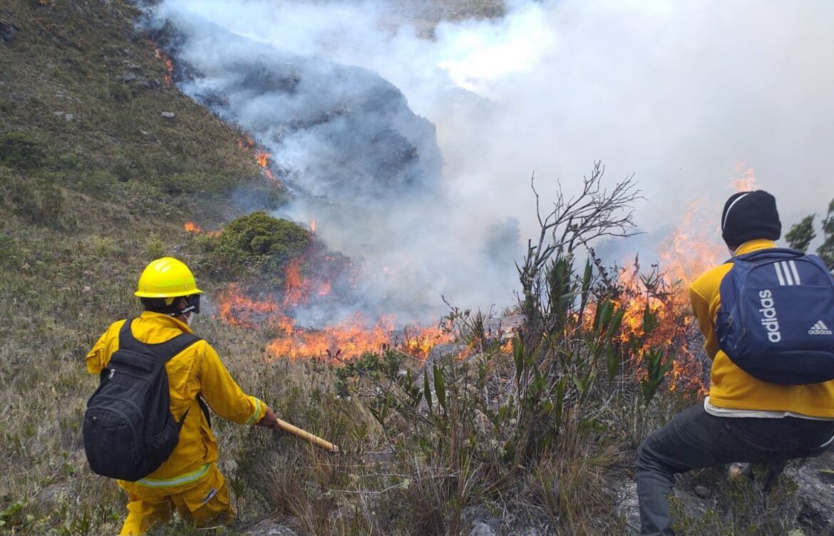 Incedios-forestales-Peru-Sernanp-11
