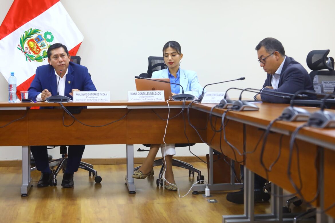 20241029-comisionenergia-08