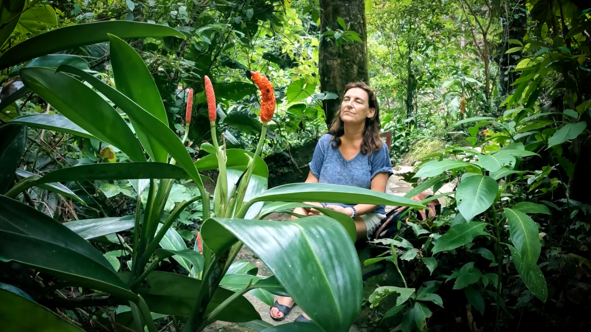 La Gringa y el Músico