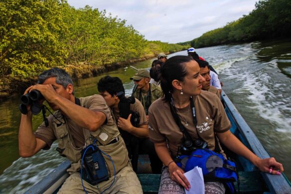 Feriado largo por el Día del Trabajador movilizará a 945.000 personas y generará más de 130 millones de dólares — image 2