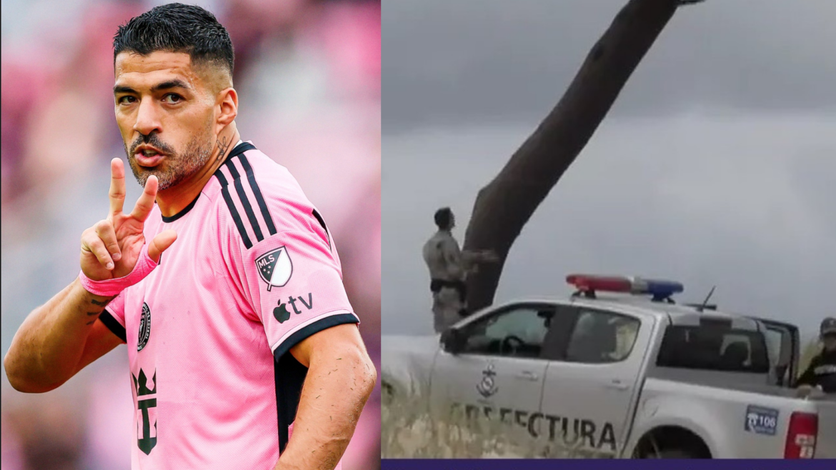Luis Suárez. Suicidio. Luis Suárez. Suicidio.