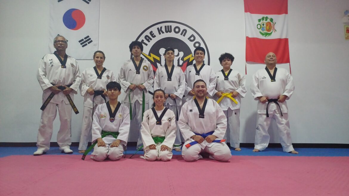 Tae Kwon Do. Jin GAN