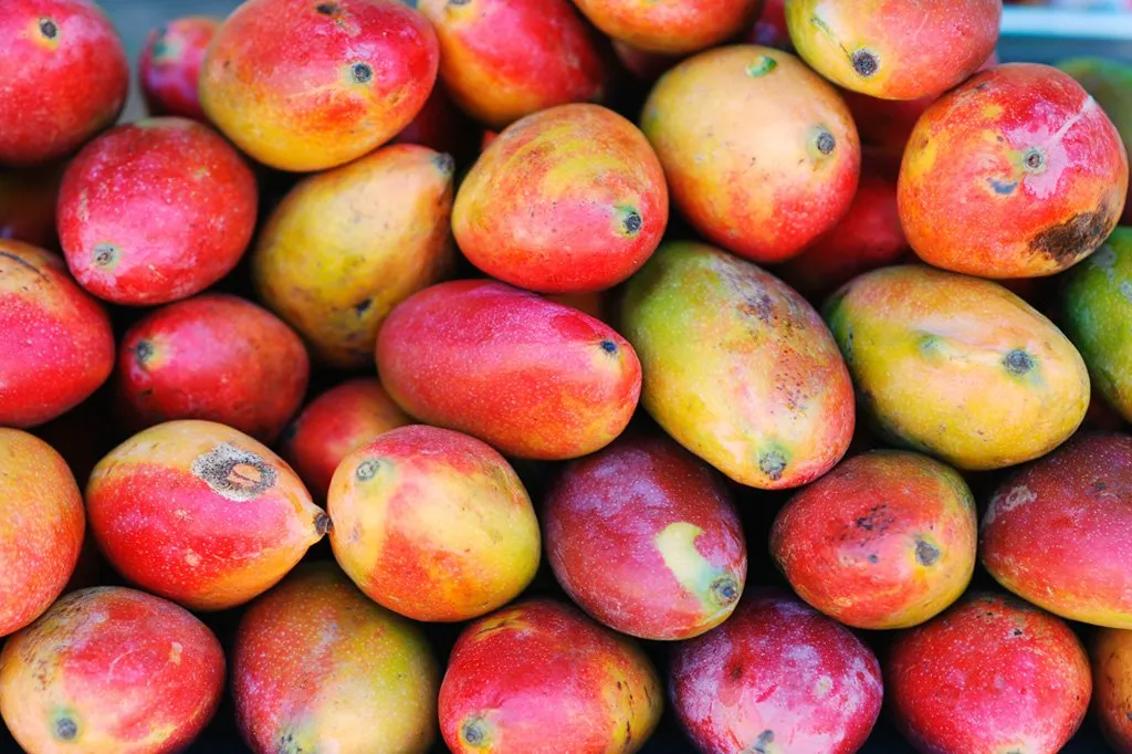 mangos-fruta-el-salvador