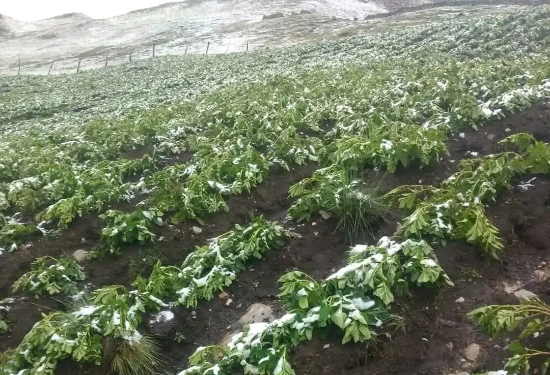 0bc28352-a382-4c7f-b83b-033cb315271e