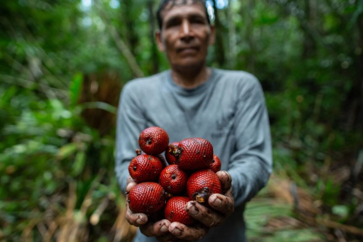 b60247ed-ebdc-4a5d-a062-83f0dda0b669