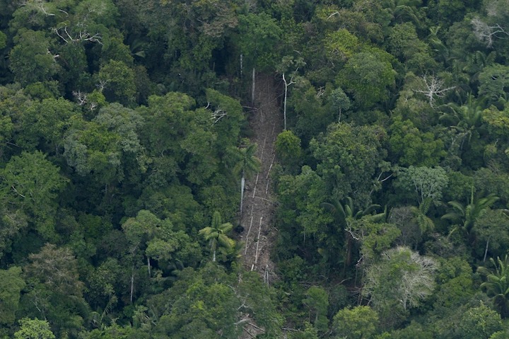 bbba7398-ed83-41b6-884f-a4c4bb6eb346