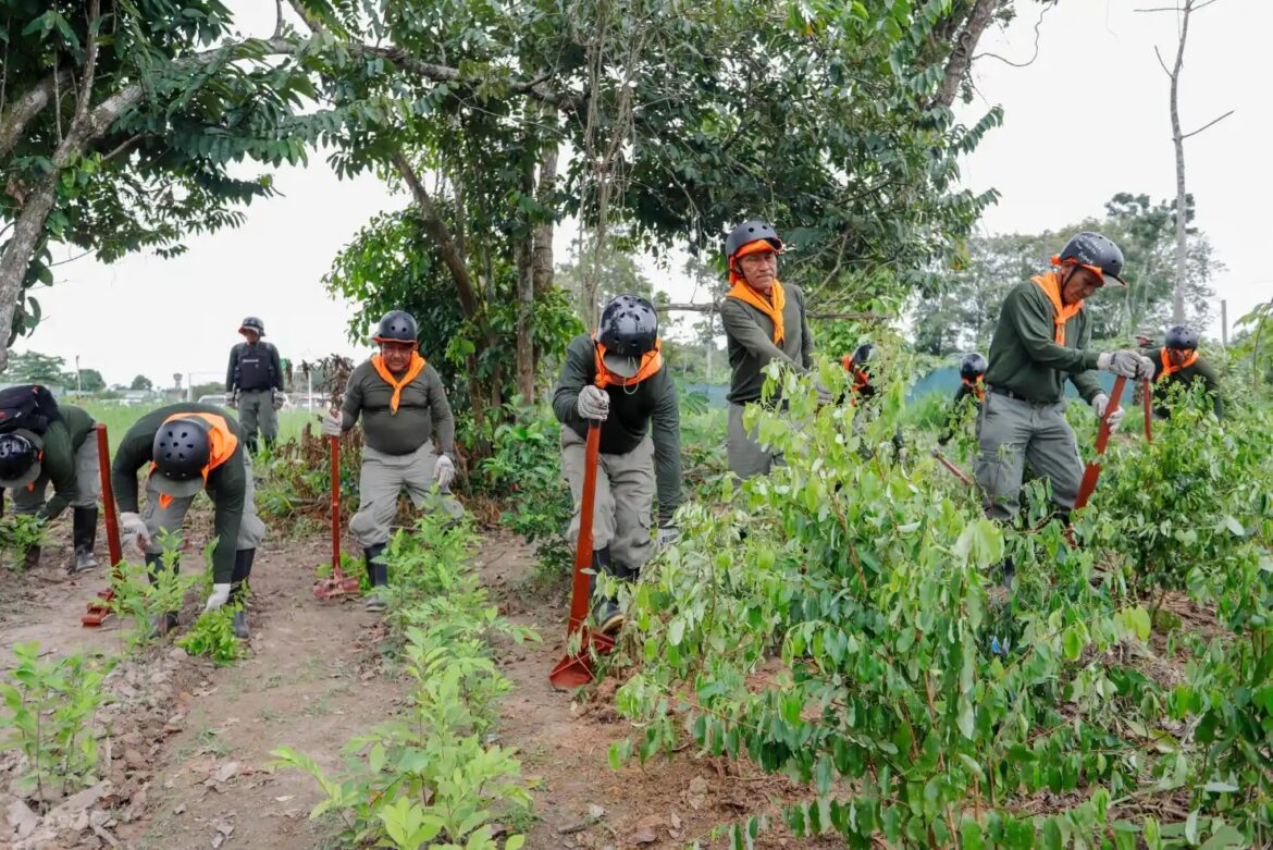 fc0ae949-f22a-4ce7-9140-c708d0a9b72b