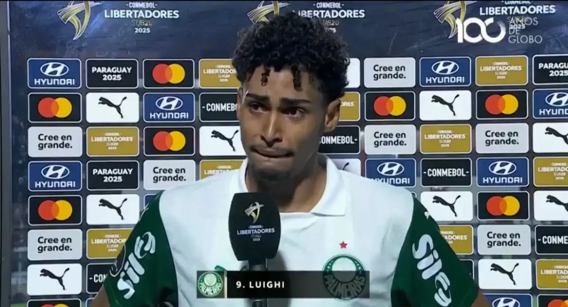 Luighi. Palmeiras. Luighi. Palmeiras.