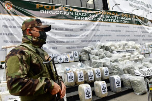 Perú y Países Bajos refuerzan lucha contra el narcotráfico - Caretas  Nacional