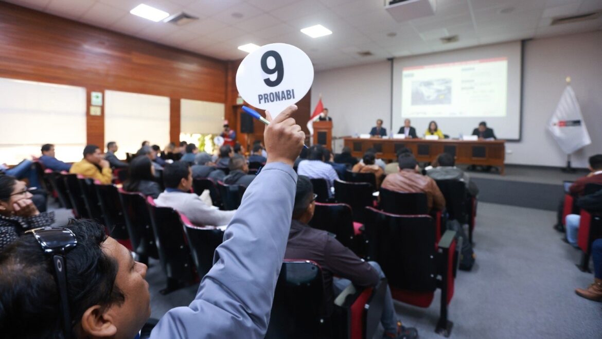 Subasta Pronabi
