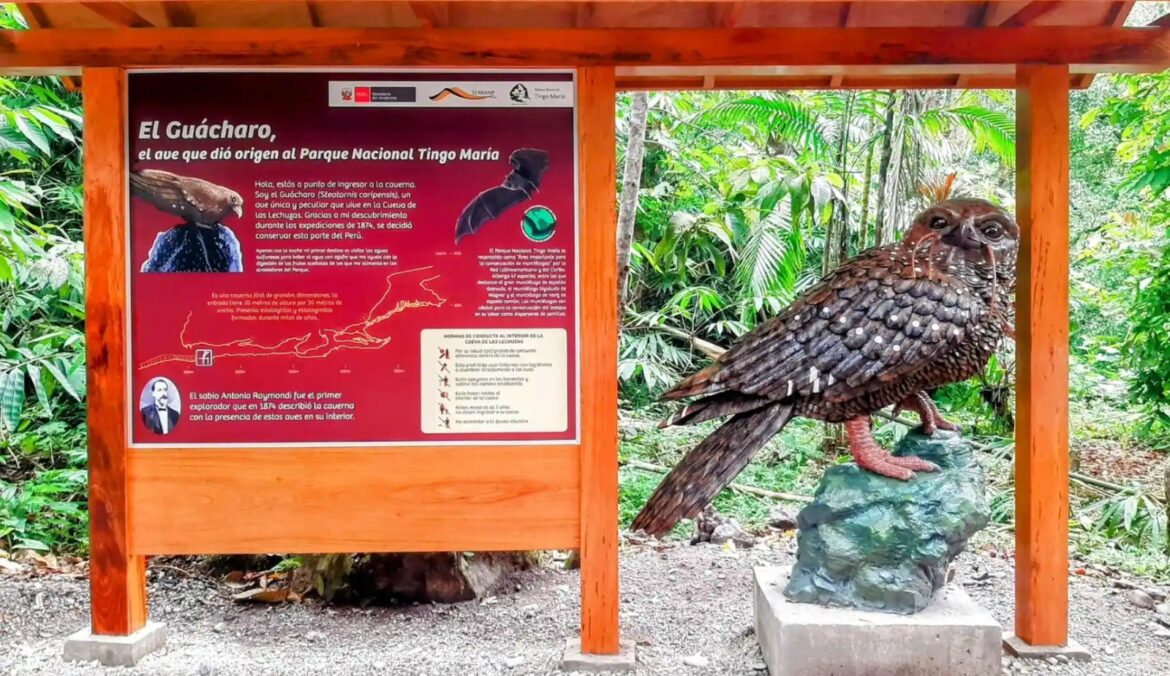 810181f0-c9e9-4393-beed-fcf73bb0c393