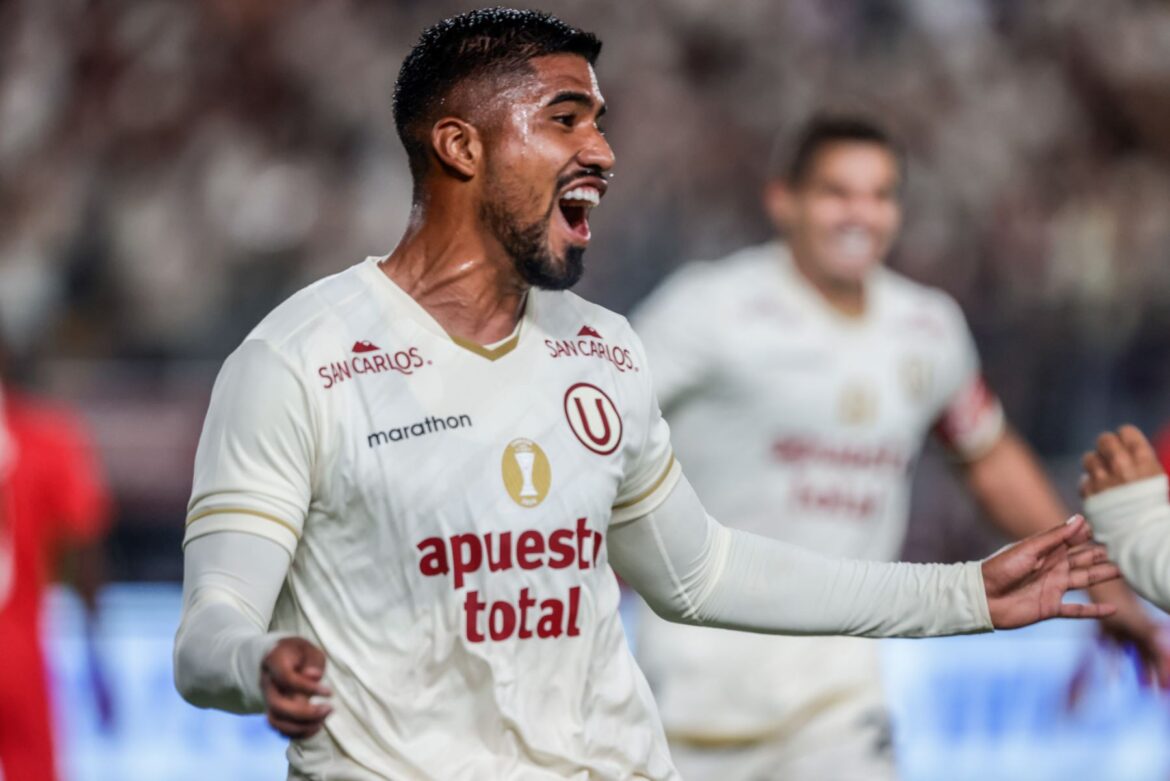 universitario universitario