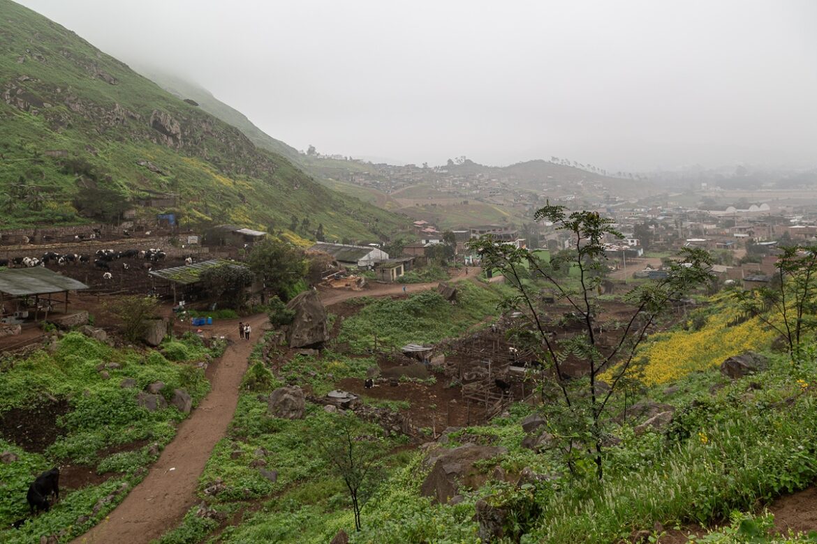 Foto invasiones Lomas de Lúcumo_SVCva