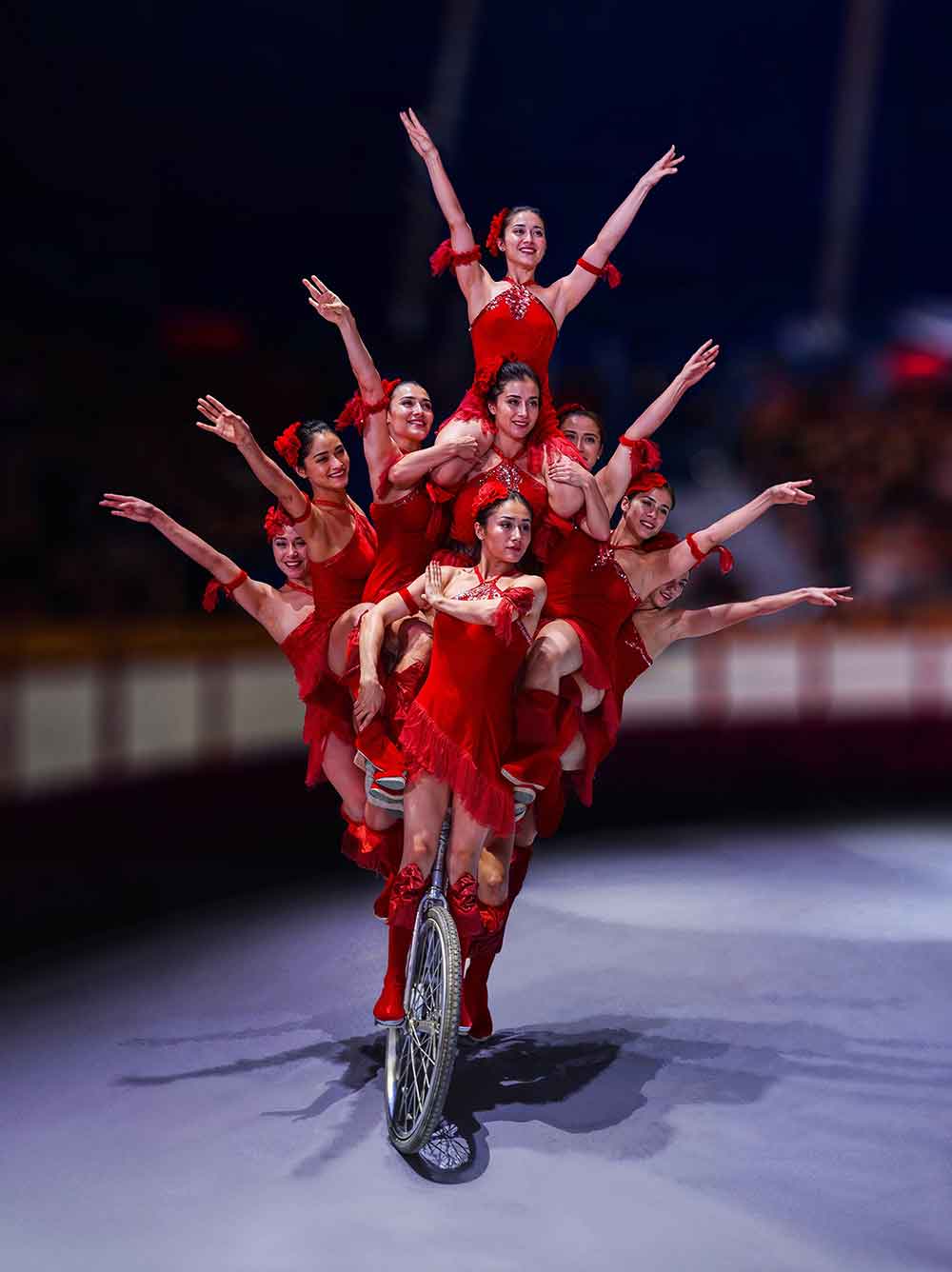 China National Acrobatic Troupe