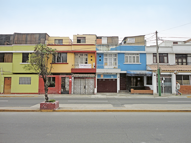 Foto Dreifuss (2) copia