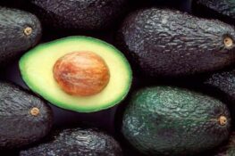 palta hass