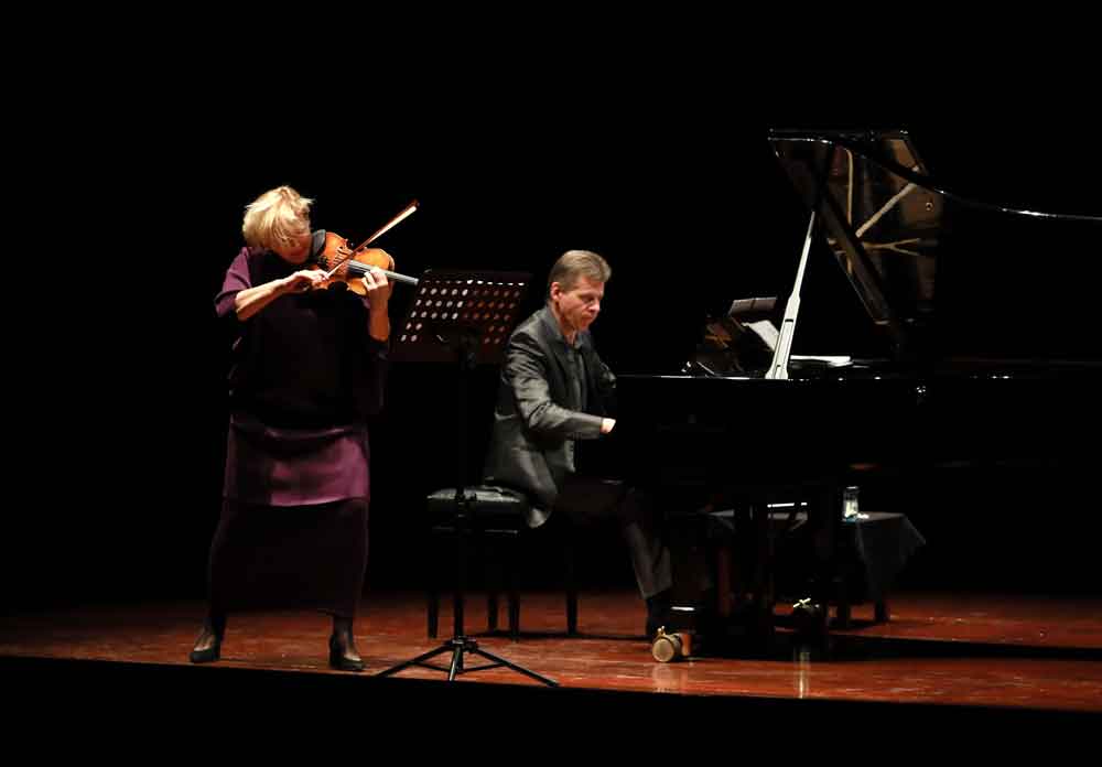 violin-fin-fin