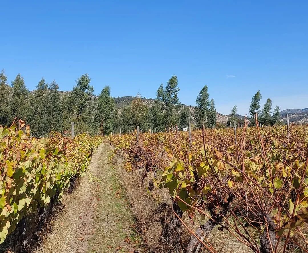 32599337-6fe5-4c34-9e7f-3a7788245fb1