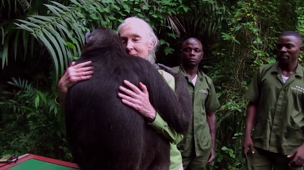 Jane Goodall