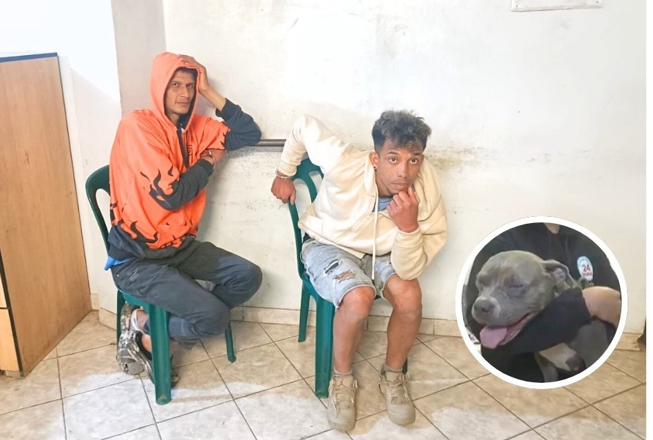 Del maltrato animal al narcotráfico: Detienen a cabecilla de “Los Cangris del Callao”
