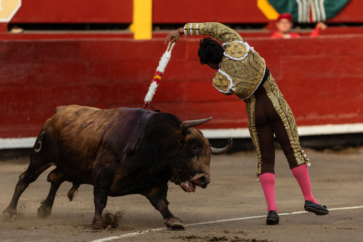image-333