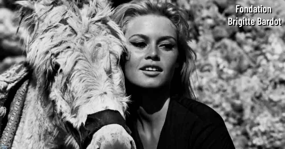 Brigitte Bardot
