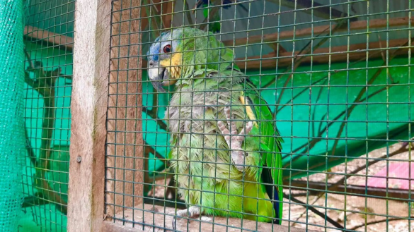 <? htmlspecialchars($article['title_ai']) ?>