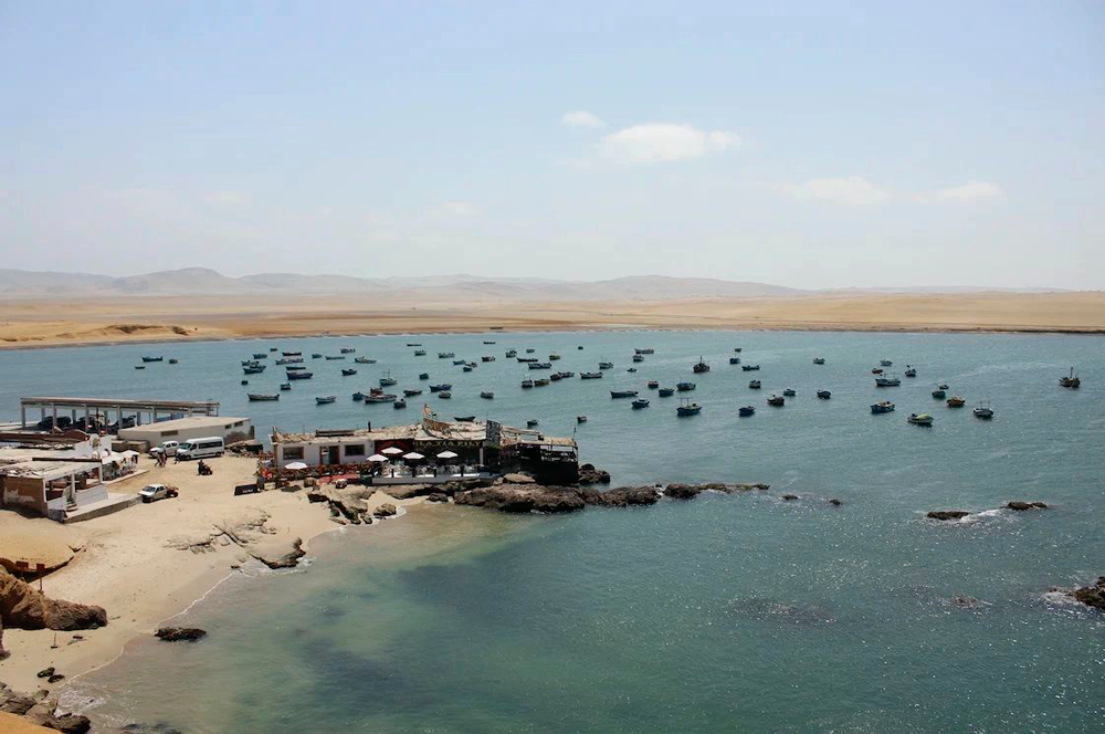 Pesca Paracas