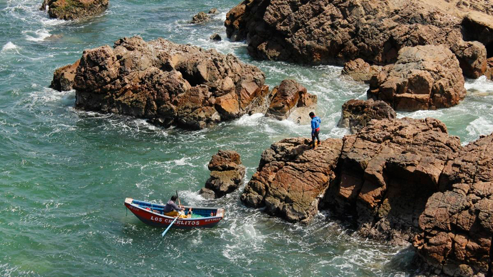Pesca Paracas
