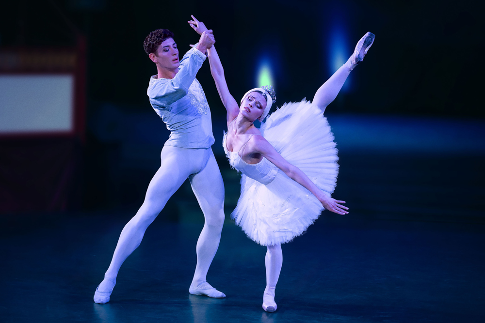 El Lago de los Cisnes