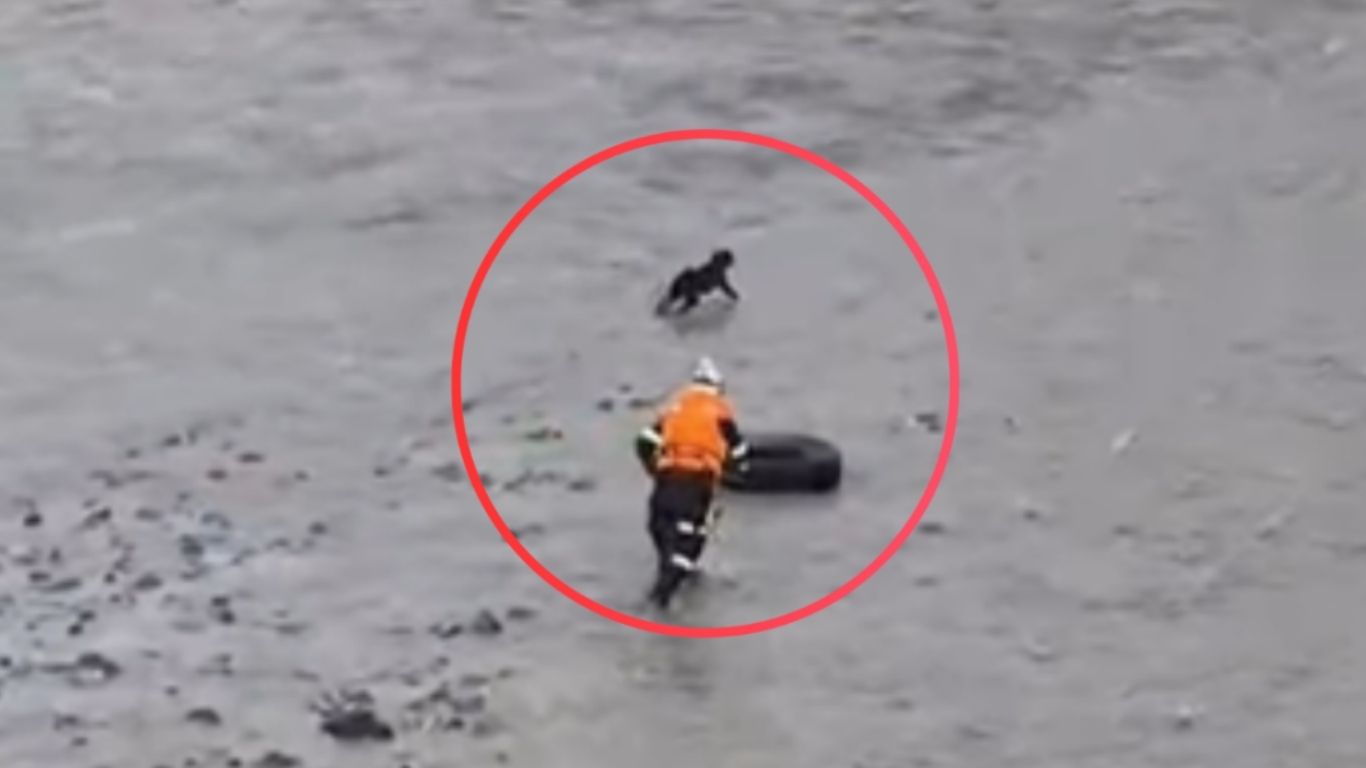 Río Rímac: Policía desaparece tras intentar salvar a un perro de morir ...