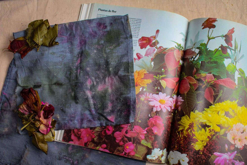 Taller Clara Best Nuñez