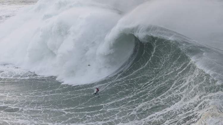 Ignacio Salazar Vertex