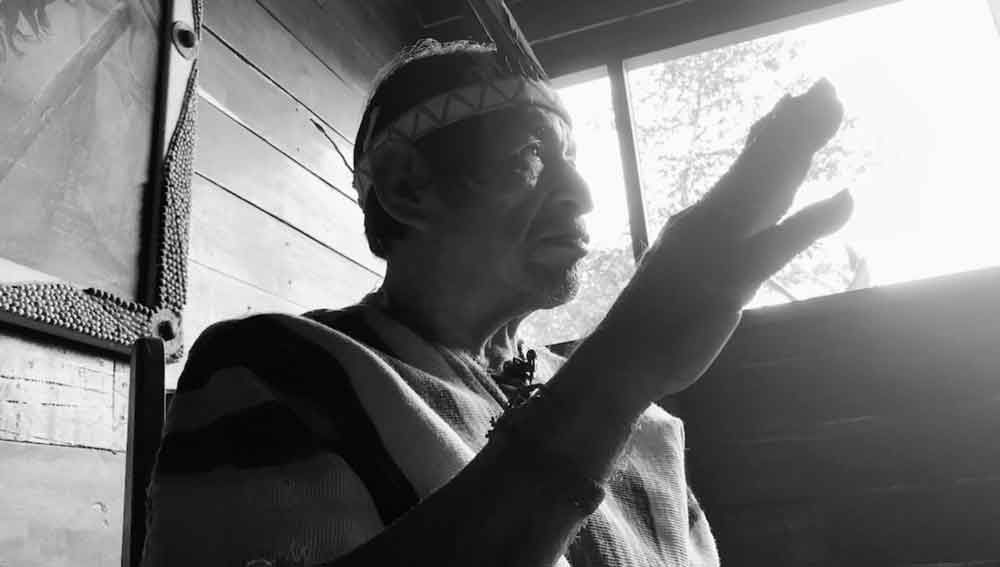 Documental Yo Soy el Bosque