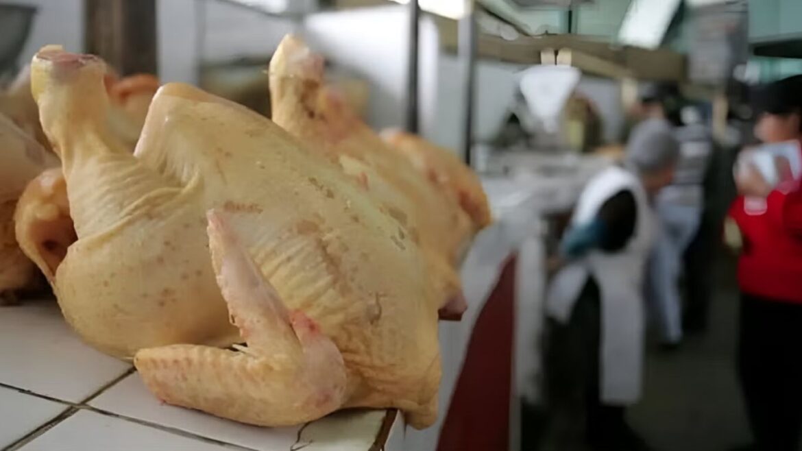precio del pollo