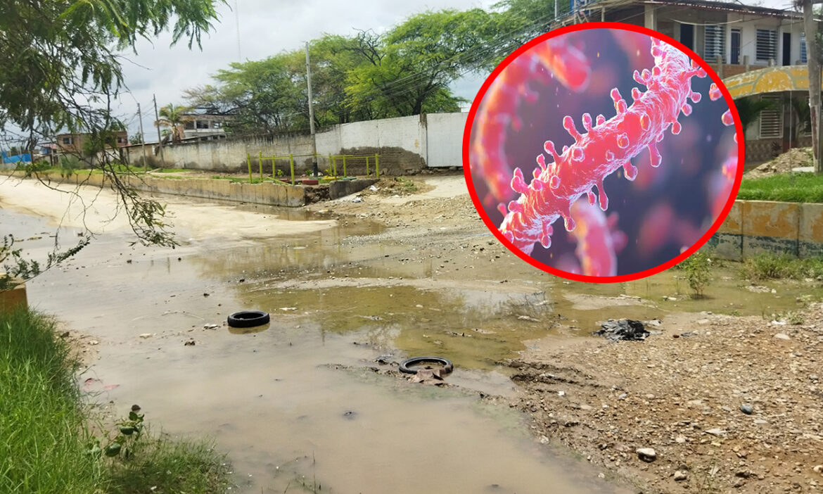 Muertes por leptospirosis en Tumbes