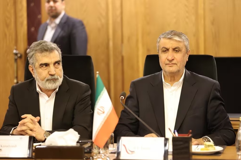 Jefe de la Organización de Energía Atómica de Irán, Mohammed Eslami.