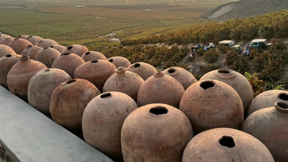 vinos peruanos