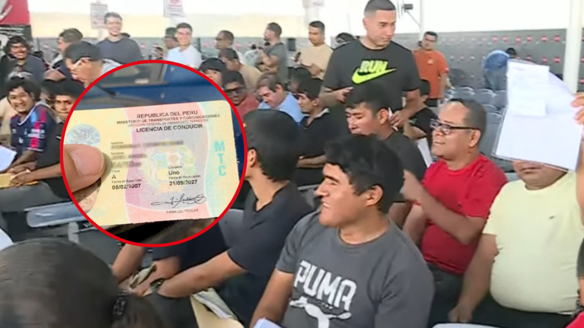 Licencias de conducir